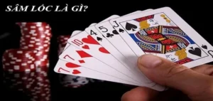 Cách Tham Gia Sâm Lốc Nhà Cái Blue88 Hiệu Quả Nhất